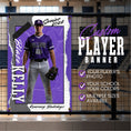 Load image into Gallery viewer, Custom Baseball Player Vinyl Banner (BAN-BBALL1002-TORN VARSITY)